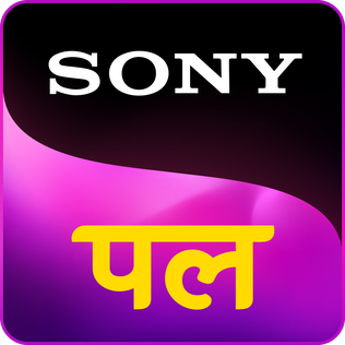 Sony_Pal_new